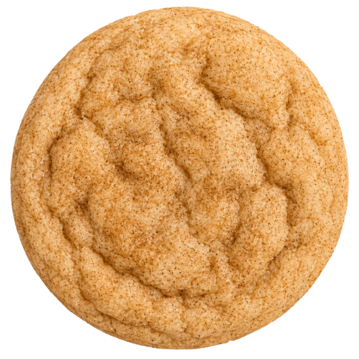 Snickerdoodle