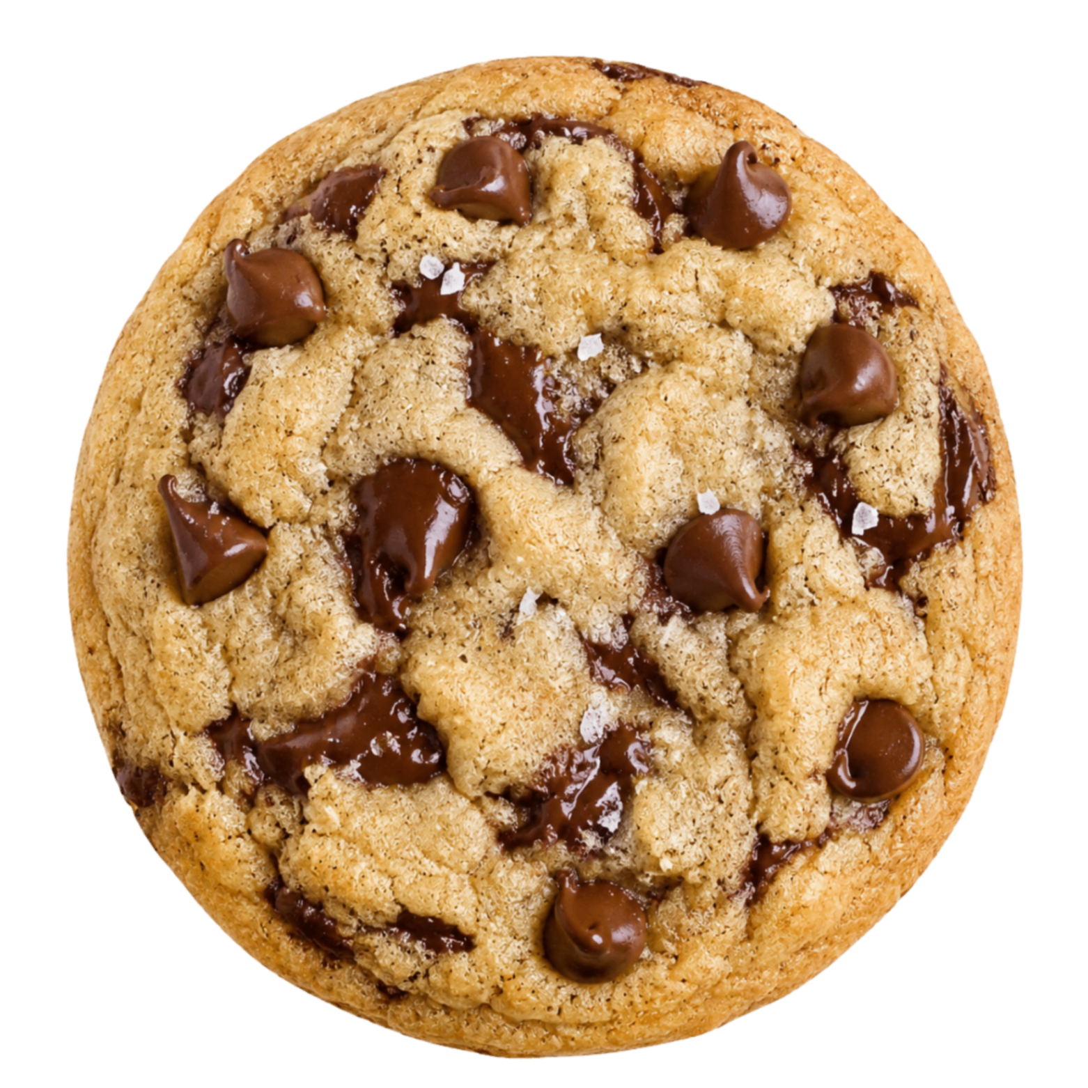 Chocolate Chip