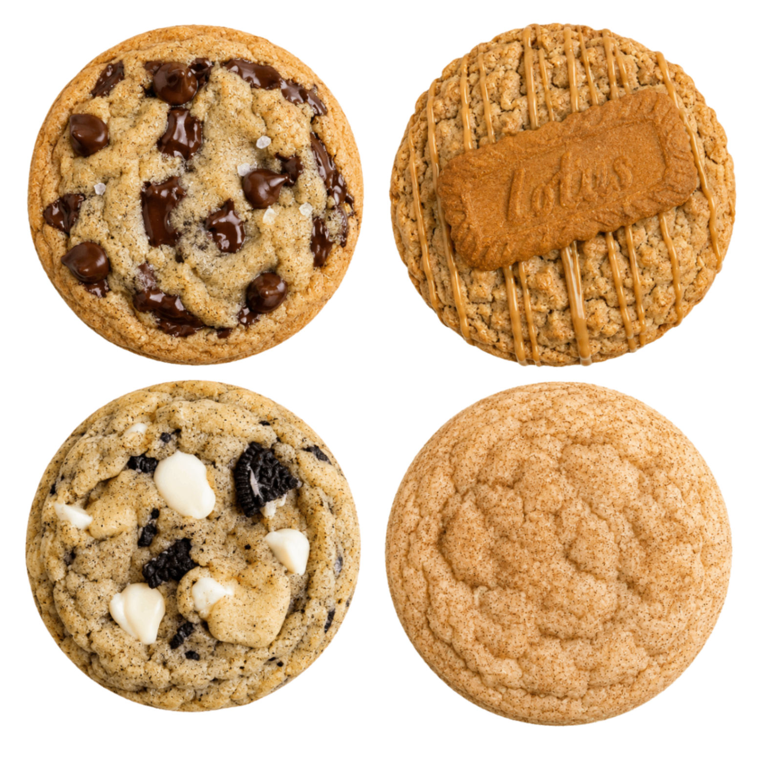 Gourmet cookies ready to gift