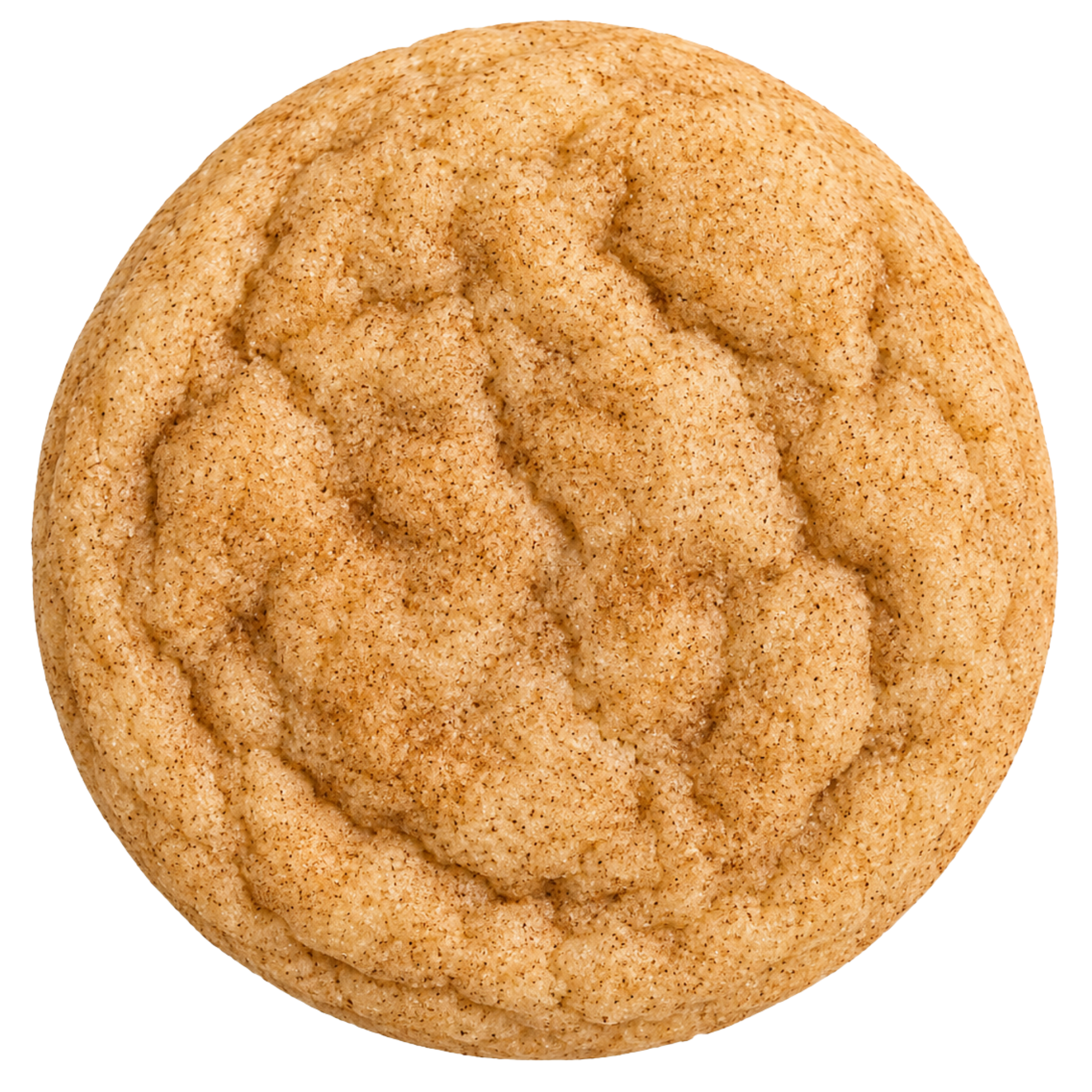 Cinnamon Sugar Cookies